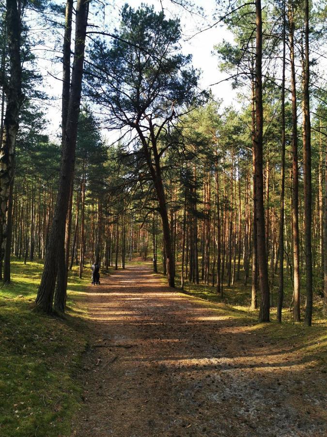 M&K Apartament Slomkowe Kapelusze - Sobieszewo, Wyspa Sobieszewska 格但斯克 外观 照片
